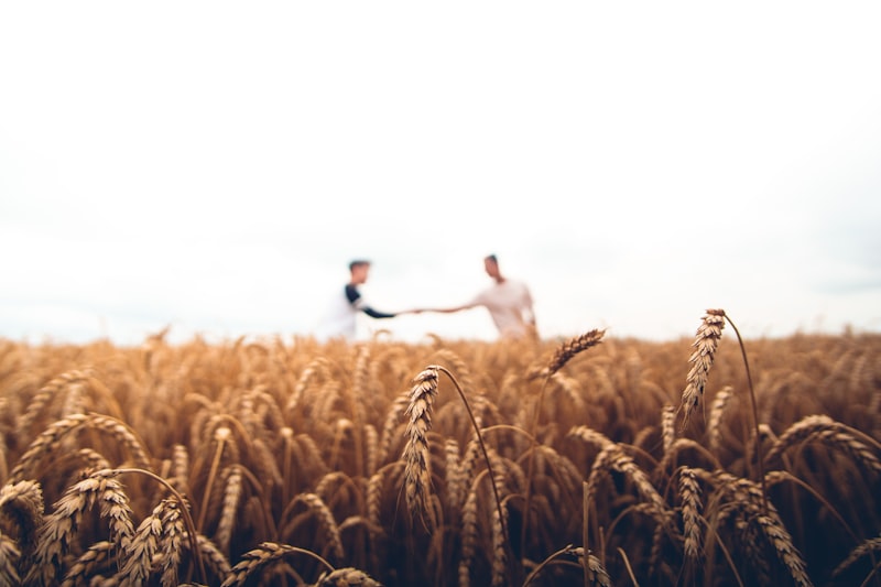 Landwirtschaftskredit